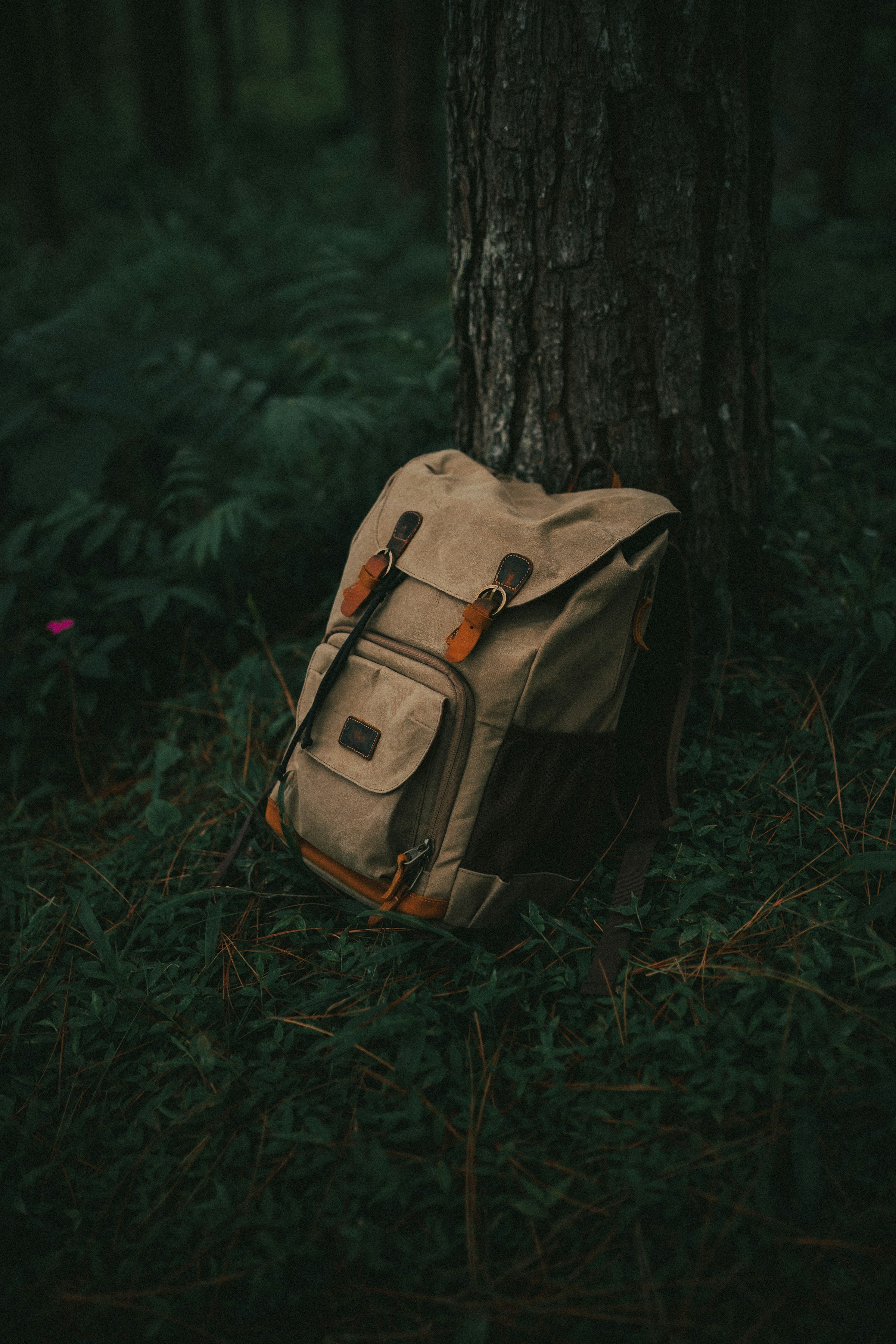 Vector Goods Meridian Backpack in an urban setting